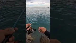 Luminous Jig 10g 🔥 #fishing #mancing #fishingvideo #jigging #shorts