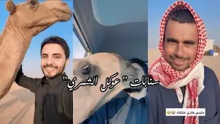 سنـابات 
