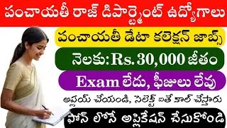 Rural Development and Panchayat Raj Data Enumerators Jobs 2025 || NIRDPR Data Enumerators Jobs