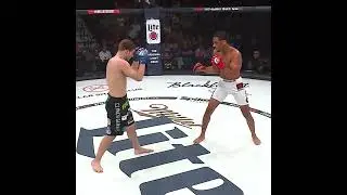 Every FINISH in AJ McKee BELLATOR FIGHTS | Patricio Pitbull, Caldwell, Campos, Karakhanyan and more
