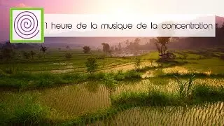 1 heure de la musique de la concentration et l'&eacute;tude. R&eacute;vision, l'apprentissage, la m&eacute;ditation.