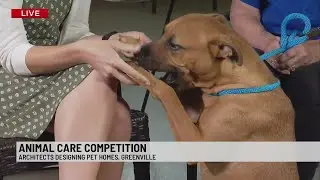 Greenville Co Animal Care and local architects partner to build animal homes and raise money