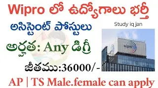 Wipro jobs Telugu | job's in Telugu| STUDY IQ JAN 9292 | Wipro jobs Telugu