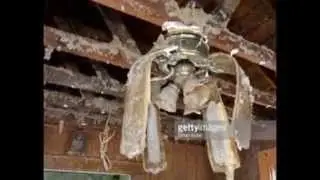ceiling fan rescue