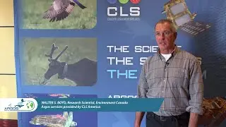 Argos: A Key Tool for Protecting Sea Ducks
