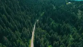 Drone Shot of Road in Forest | Stock Footage | Creative Commons Central