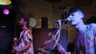 DZY - Plein de soi  (LIVE @ la tani&egrave;re)