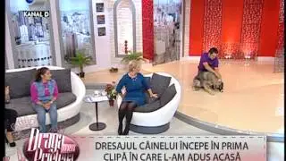 Adevarata frumusete chinologica si umana - partea I