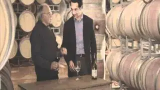 Behind the scene - Domaines Paul Mas