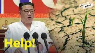 North Korea requests assistance from India, Canada, Vietnam