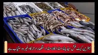 Fish Farming Made Easy &ndash; We Help You Grow & Profit &ndash; Ab or Asan Banaein &ndash; Behtar Nateje Zyada Munafa