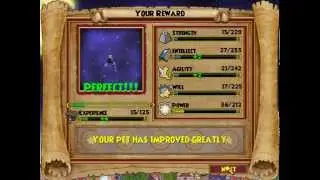 Wizard101 rain beetle