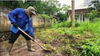 Free Cleaning an Abandoned House to Magical Garden Transformation Speed Clean Challenge