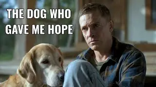 The Stray Dog That Saved a Broken Soldier&rsquo;s Heart | True Animal Bond Story