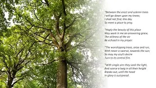 Seasons in Verse - Hebrew Way Essentials