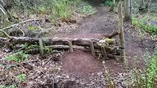 Clent hills solo shred