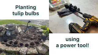 My Backyard Garden - Planting tulip bulbs using a power tool