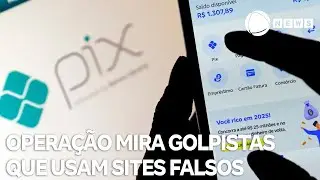 Fraude do Pix: opera&ccedil;&atilde;o mira golpistas que usam sites falsos do governo
