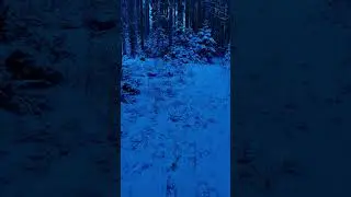 🌕 Night View &bull;.* music & cinema for quiet nights alone ⋆₊˚✧ by Yurii Smyk &bull; #ambient #cinematic #bgm