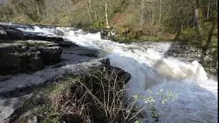 Stainforth force