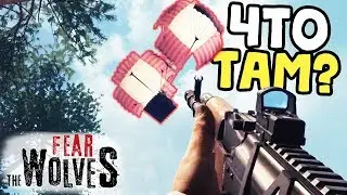 ЧТО В АИРДРОПЕ? - Fear The Wolves