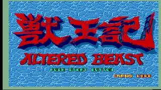Altered Beast Mega Drive Actual Hardware