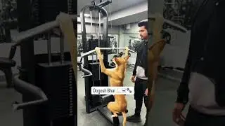 #dog #ka😎 inteqam 🤓🤭🤭