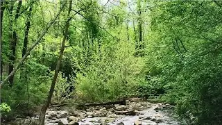 Sleep and relax Enjoy beautiful nature / Cпи и отдыхай Наслаждайтесь красивой природой