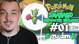 C zu dem K ist der neue in der Stadt! | Pok&eacute;mon Smaragd Randomizer Nuzlocke Challenge #01