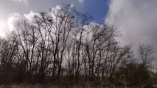 Tempête Eunice 🌬️