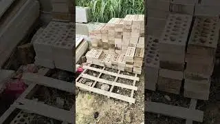 Inizio Lavoro di una grande Voliera Pappagalli 1 aprile 2025 #papapit #shortvideo #pappagalli