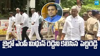 Peddireddy Ramachandra Reddy Meets Mithun Reddy In Rajahmundry Central Jail |@SakshiTVLIVE
