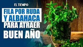 Bogotanos hacen fila desde la madrugada por hierbas para baños de año nuevo | EL TIEMPO