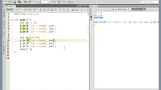 Initialisation of variable, octal and hex initialisation