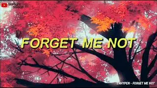 ENHYPEN ▪ FORGET ME NOT | INDO LIRIK