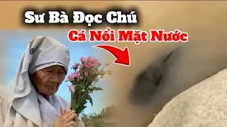 Sư Bà Đọc Chú, Cá Dưới Nước Nổi Lên Như Lắng Nghe Từng Lời kinh #417