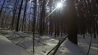 Morton Arboretum Time Lapse Winter February 9, 2021