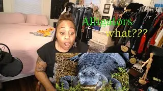Alligators Don't Die!! 😱🤯