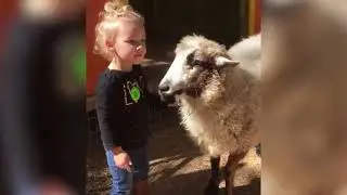 💥Funniest Farm Animals Bloopers Viral Weekly😂🙃💥Funny Animal Videos👌
