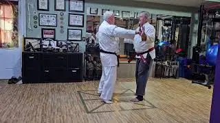 Naihanchi Kata: The Enigma of Okinawan Shorin Ryu Karate