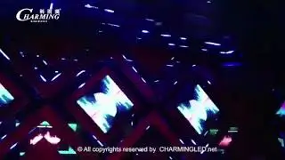 Paradise Dance Floor