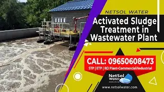 Activated Sludge: What is it and how does it work in Wastewater Treatment Plant