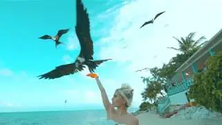 Discover Cayman Promo