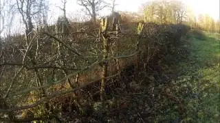 Hedgerow management at our orchard part 1