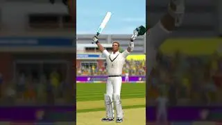 Hayden century 🏏 Haydos 380