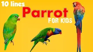 10 lines on parrot in English for kids | few lines on parrot for lkg ukg | short essay on parrot