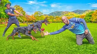 Can You Still Catch a Cricket Ball Under Dog&Fire Attack For $100USD?