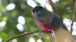Parque Nacional de Chimanimani