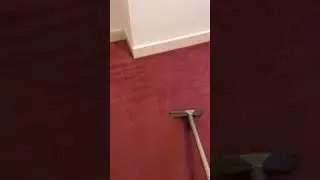 Alfred London Carpet Cleaning Paint Removal After