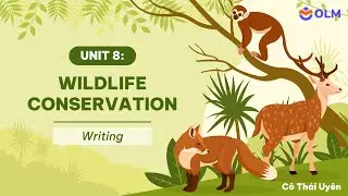 Unit 8: Wildlife conservation - Writing -  Tiếng Anh 12 (Global Success)